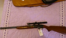 Guns, Collectibles and Household Items Online Only Auction