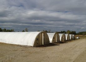 2-hoop-houses.jpg