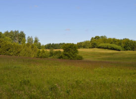 22-Copy1.jpg