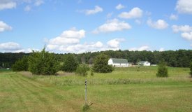 L5 Cedar Ln