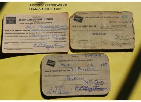 ASSORTED-CERTIFICATE-OF-EXAMINATION-CARDS.jpg