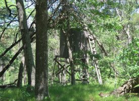 IMG_2703-Copy.jpg