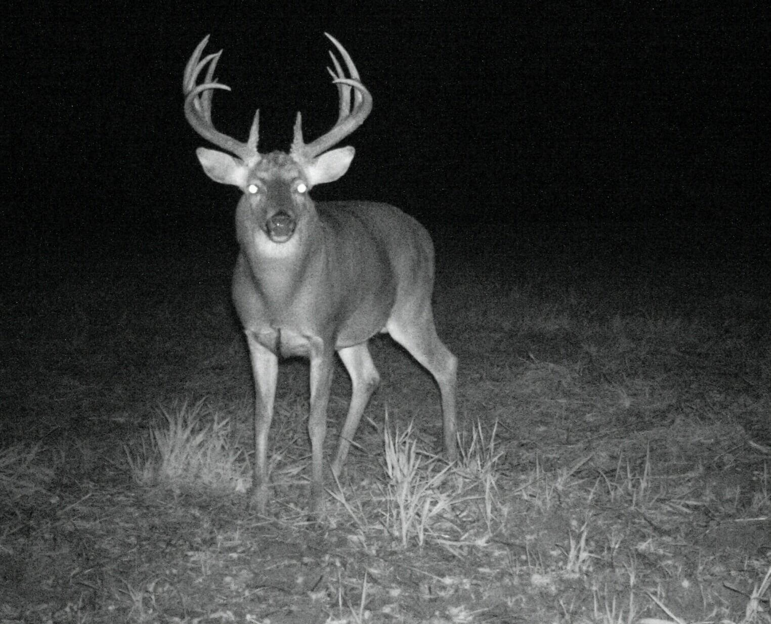 Tina Marshall UC BadgerlandRichland Center Realtor United Country