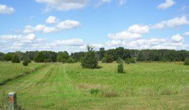 L3 Cedar Ln