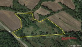 Juneau County WI Hunting Land Online Only Auction