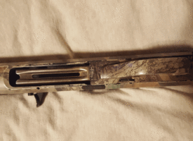 20170417_115649 (Copy)