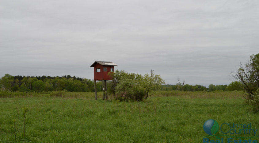 97 +/- Acres Columbia County Multi Parcel Land Auction July 8th 2017 11:00am