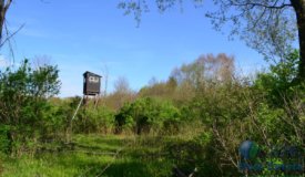 Hunting land in Tigerton, Shawano County WI