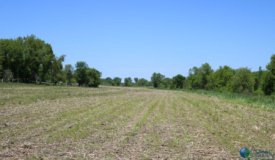 Agriculture Crop Land for Sale in Dodge County Wisconsin