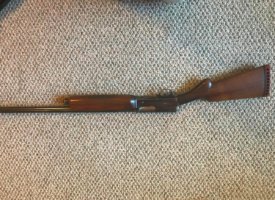 Photo Jun 01, 1 22 56 PM (Copy)