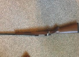 Photo Jun 01, 1 23 26 PM (Copy)