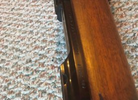 Photo Jun 01, 1 23 52 PM (Copy)