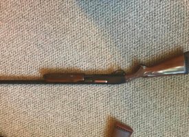 Photo Jun 01, 1 24 26 PM (Copy)