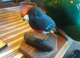 Photo Jun 01, 1 30 00 PM (Copy)