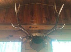 Photo Jun 01, 1 33 56 PM (Copy)