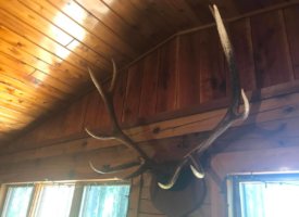 Photo Jun 01, 1 34 03 PM (Copy)