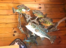 Photo Jun 01, 1 34 19 PM (Copy)