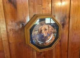 Photo Jun 01, 1 35 52 PM (Copy)