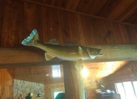 Photo Jun 01, 1 36 33 PM (Copy)