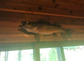 Photo Jun 01, 1 36 40 PM (Copy)