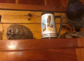 Photo Jun 01, 1 37 01 PM (Copy)