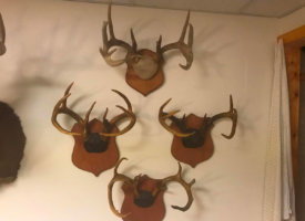 Photo Jun 01, 1 38 14 PM (Copy)