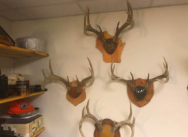 Photo Jun 01, 1 38 20 PM (Copy)