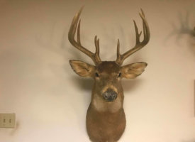 Photo Jun 01, 1 38 31 PM (Copy)