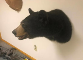 Photo Jun 01, 1 38 37 PM (Copy)