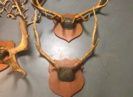 Photo Jun 01, 1 38 51 PM (Copy)