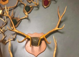 Photo Jun 01, 1 38 54 PM (Copy)