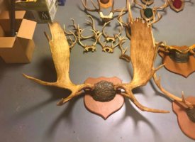 Photo Jun 01, 1 38 58 PM (Copy)