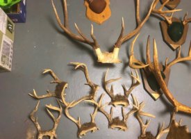 Photo Jun 01, 1 39 02 PM (Copy)