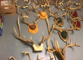 Photo Jun 01, 1 39 05 PM (Copy)