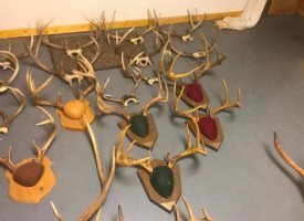 Photo Jun 01, 1 39 07 PM (Copy)