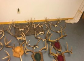 Photo Jun 01, 1 39 09 PM (Copy)