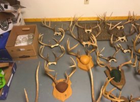 Photo Jun 01, 1 39 11 PM (Copy)