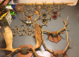 Photo Jun 01, 1 39 19 PM (Copy)