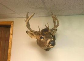 Photo Jun 01, 1 39 36 PM (Copy)