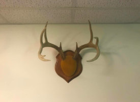 Photo Jun 01, 1 39 40 PM (Copy)