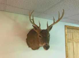 Photo Jun 01, 1 39 43 PM (Copy)