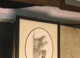 Photo Jun 01, 1 40 54 PM (Copy)