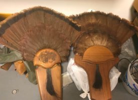 Photo Jun 01, 1 41 37 PM (Copy)