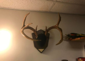 Photo Jun 01, 1 41 57 PM (Copy)