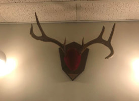 Photo Jun 01, 1 42 00 PM (Copy)