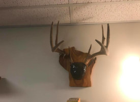 Photo Jun 01, 1 42 05 PM (Copy)