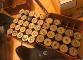 Photo Jun 01, 1 46 12 PM (Copy)