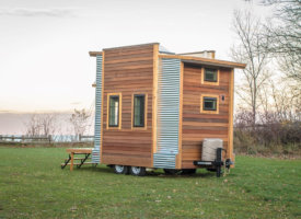 Centipede-14-Reduced