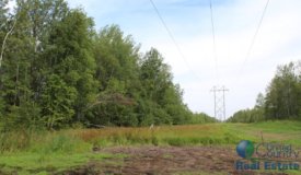 Online Only Auction of 320 Acres of Secluded Rusk County