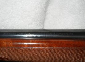 2017-07-26 09.50.39 (Copy)